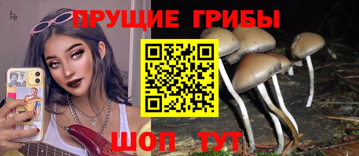 Галлюциногенные грибы GOLDEN TEACHER Нижнеудинск