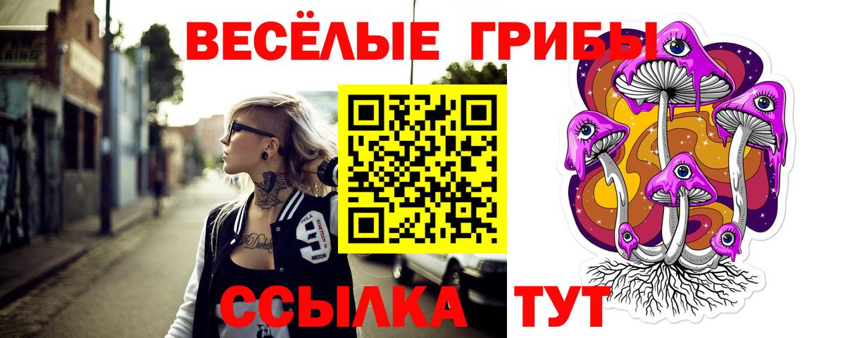 Нижнеудинск  Псилоцибиновые грибы прущие грибы  Вход с VPN 